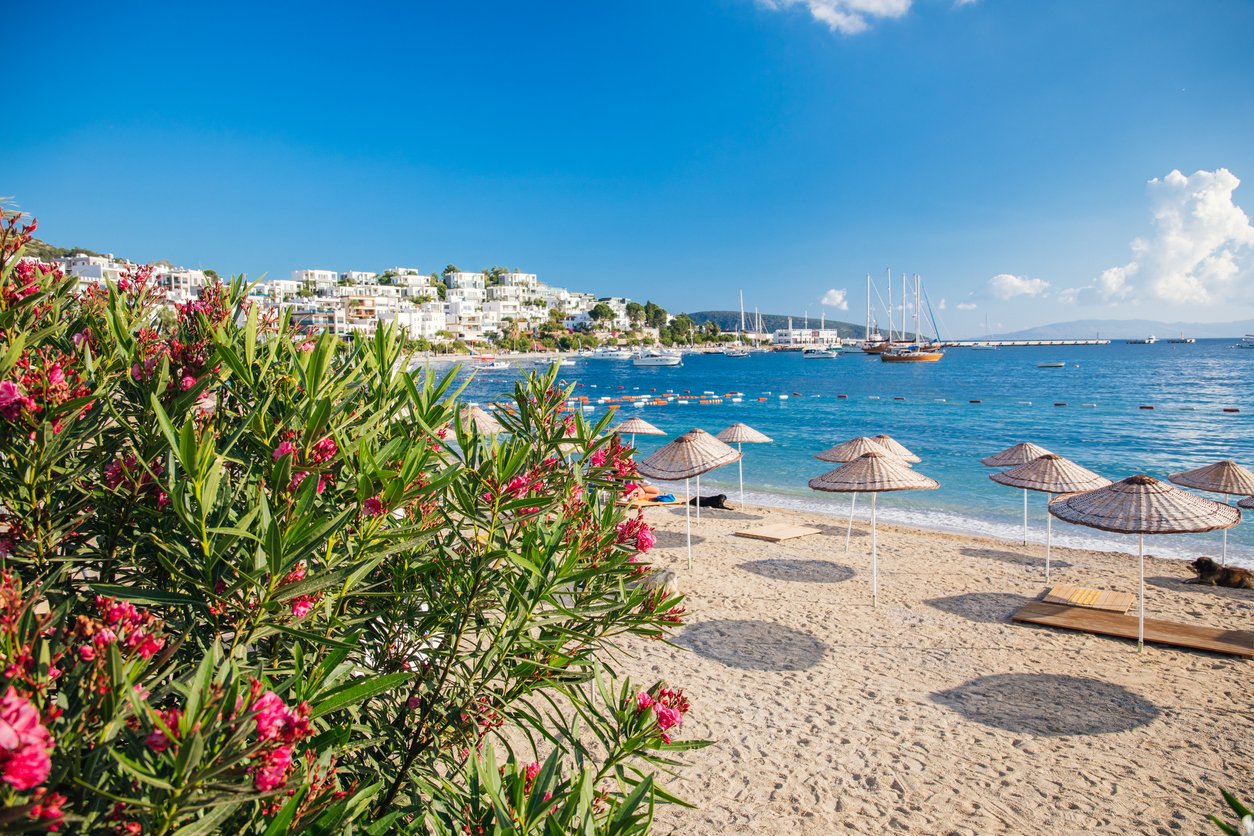 A beautiful beach scene in Bodrum, Turkey, with bright umbrellas and blooming flowers dotting the landscape.